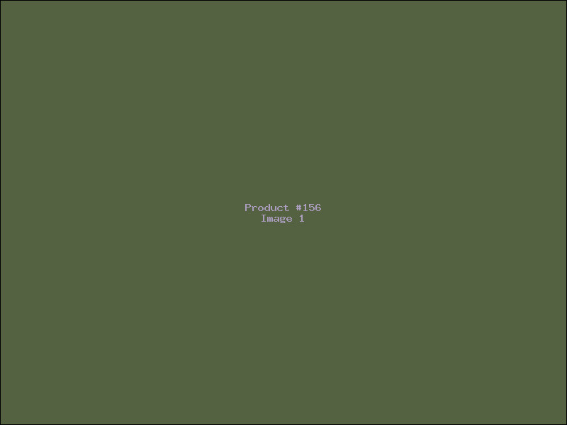 Example Product 156