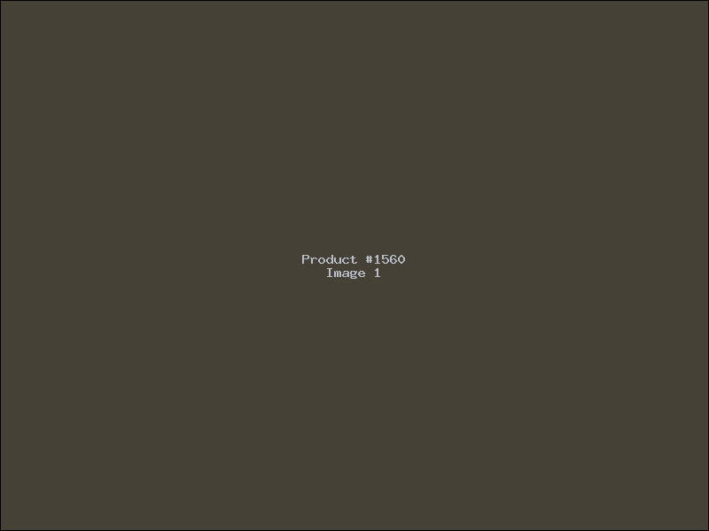 Example Product 1560