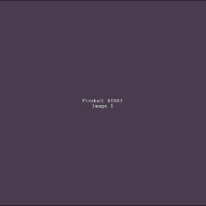 Example Product 1561
