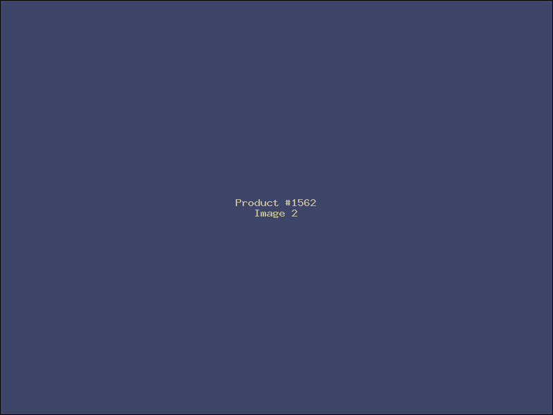 Example Product 1562 - Image 2