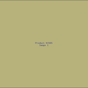 Example Product 1565