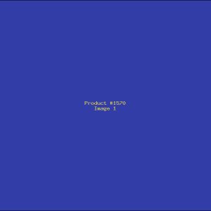 Example Product 1570