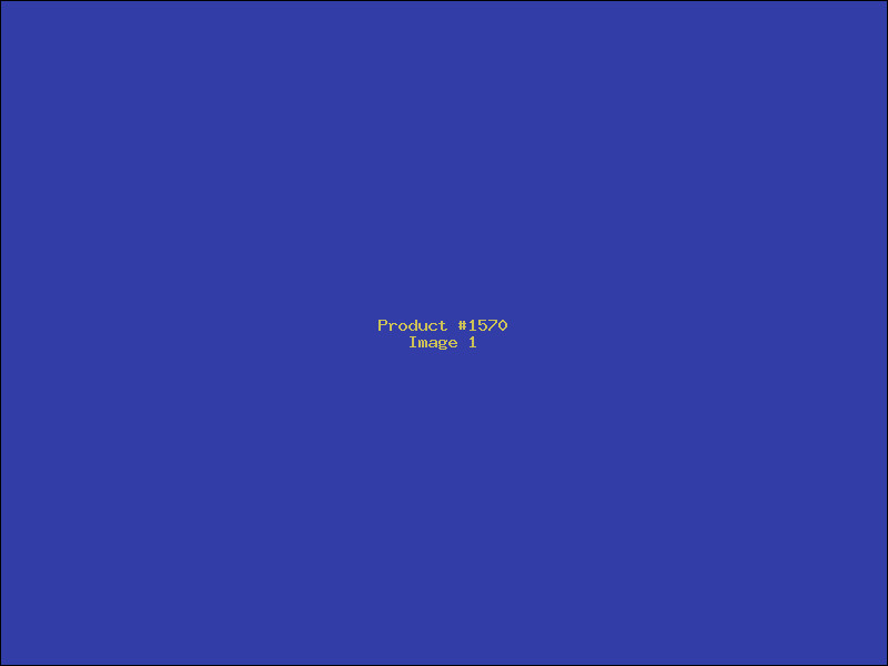 Example Product 1570