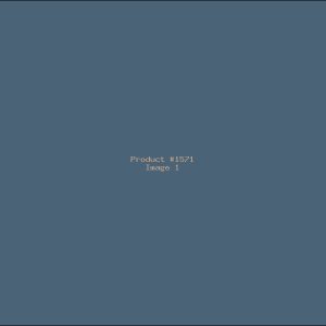 Example Product 1571
