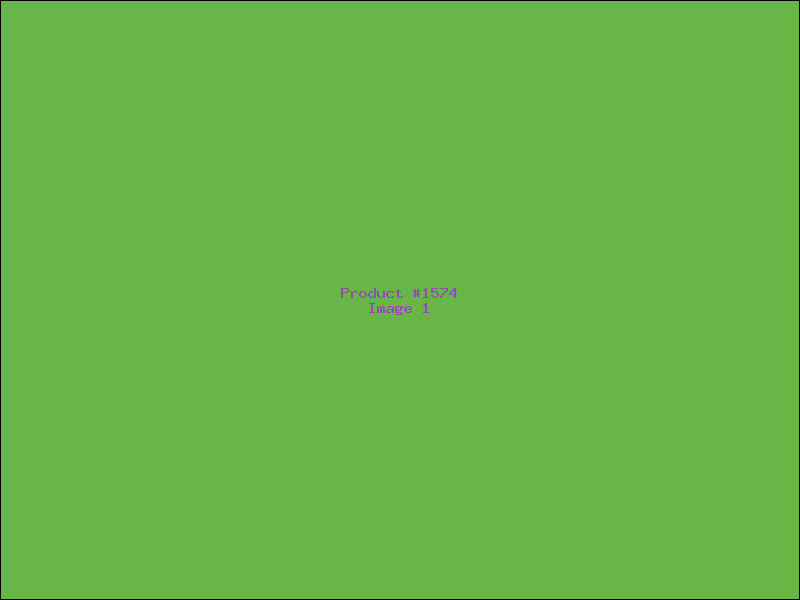 Example Product 1574