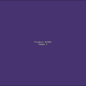 Example Product 1580