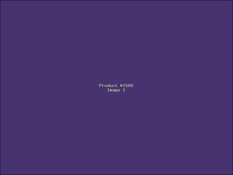Example Product 1580