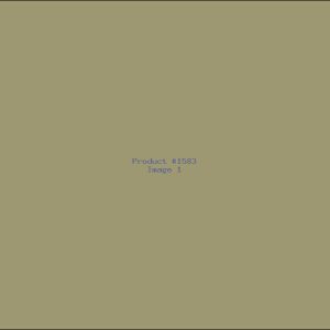 Example Product 1583
