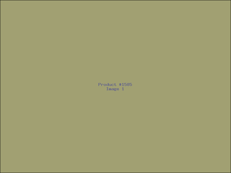 Example Product 1585
