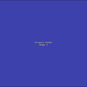 Example Product 1590