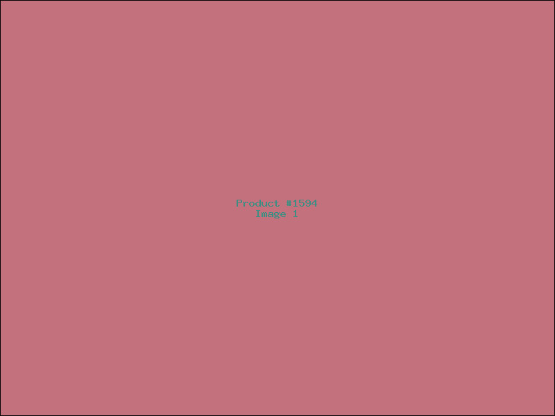 Example Product 1594