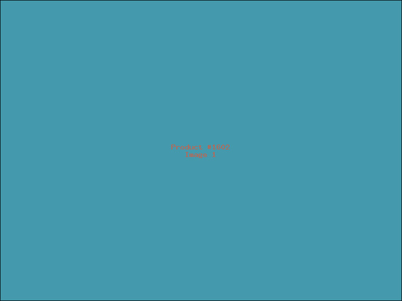 Example Product 1602