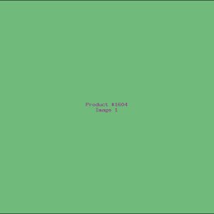 Example Product 1604