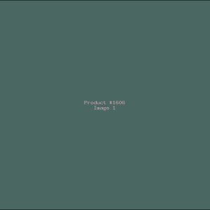 Example Product 1606