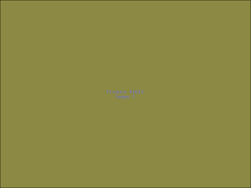 Example Product 1610