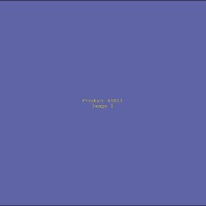 Example Product 1611