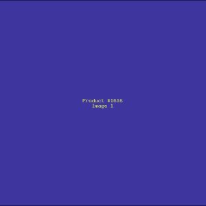 Example Product 1616