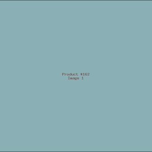 Example Product 162