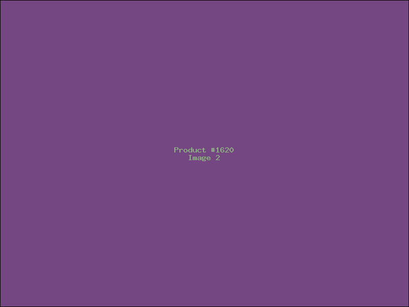 Example Product 1620 - Image 2