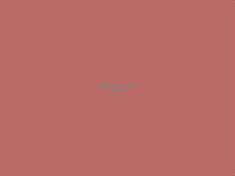 Example Product 1623 - Image 2