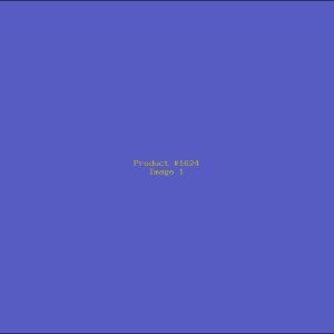 Example Product 1624
