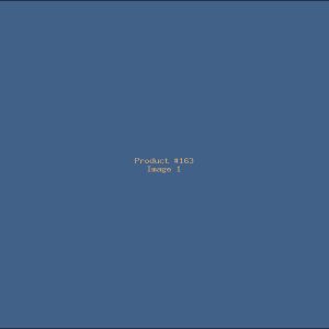Example Product 163