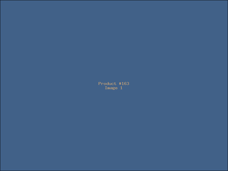 Example Product 163