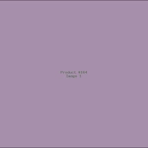 Example Product 164