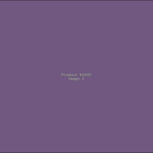 Example Product 1643