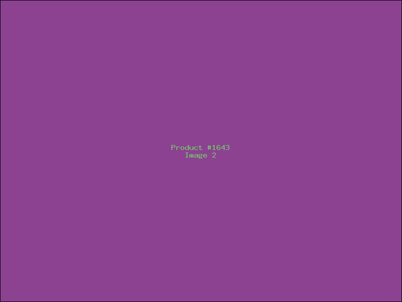 Example Product 1643 - Image 2