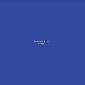 Example Product 1647