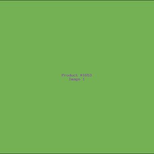 Example Product 1653