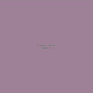 Example Product 1654