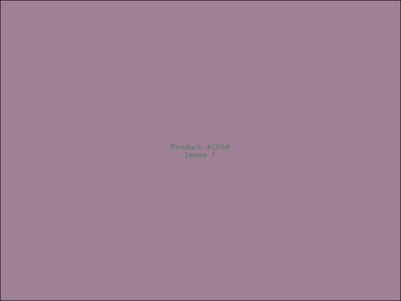 Example Product 1654