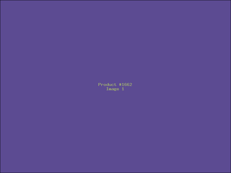 Example Product 1662