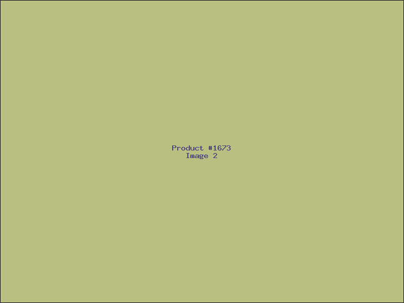 Example Product 1673 - Image 2