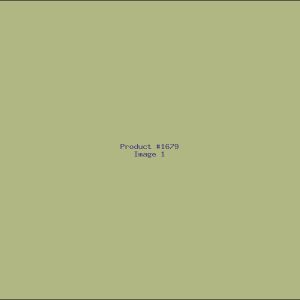 Example Product 1679