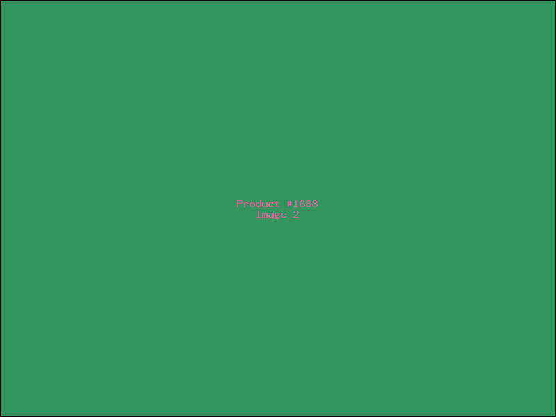 Example Product 1688 - Image 2