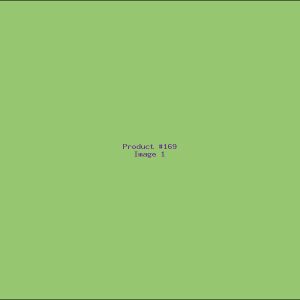 Example Product 169