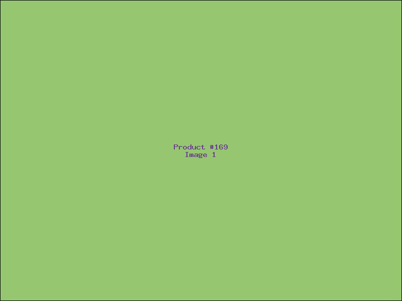 Example Product 169