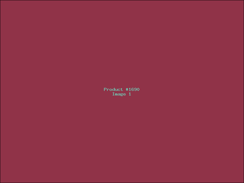 Example Product 1690