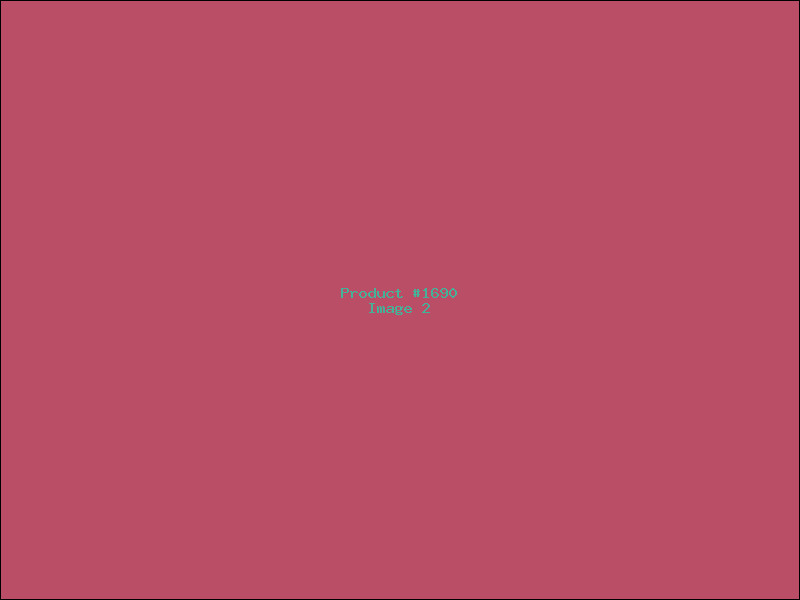 Example Product 1690 - Image 2