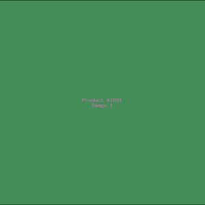 Example Product 1691