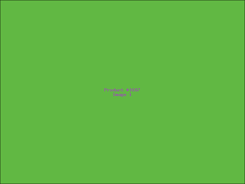 Example Product 1697