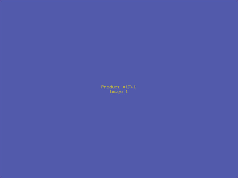 Example Product 1701