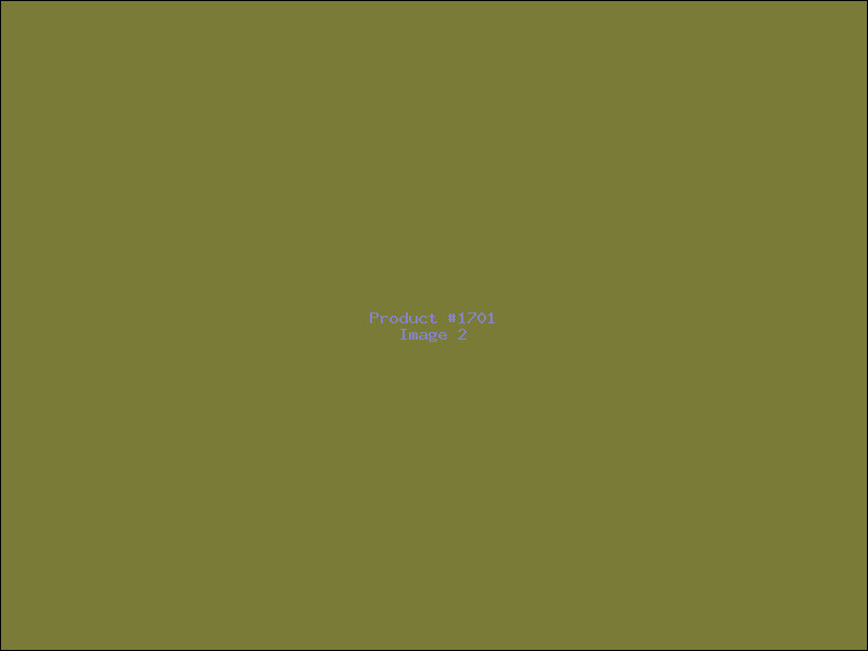 Example Product 1701 - Image 2