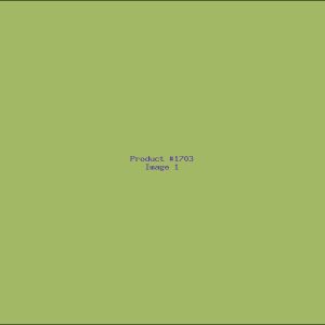 Example Product 1703