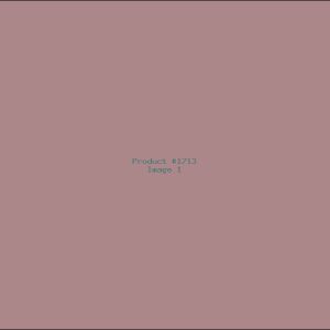 Example Product 1713