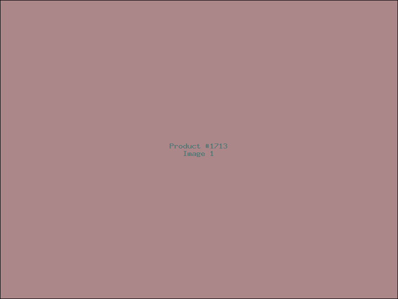 Example Product 1713