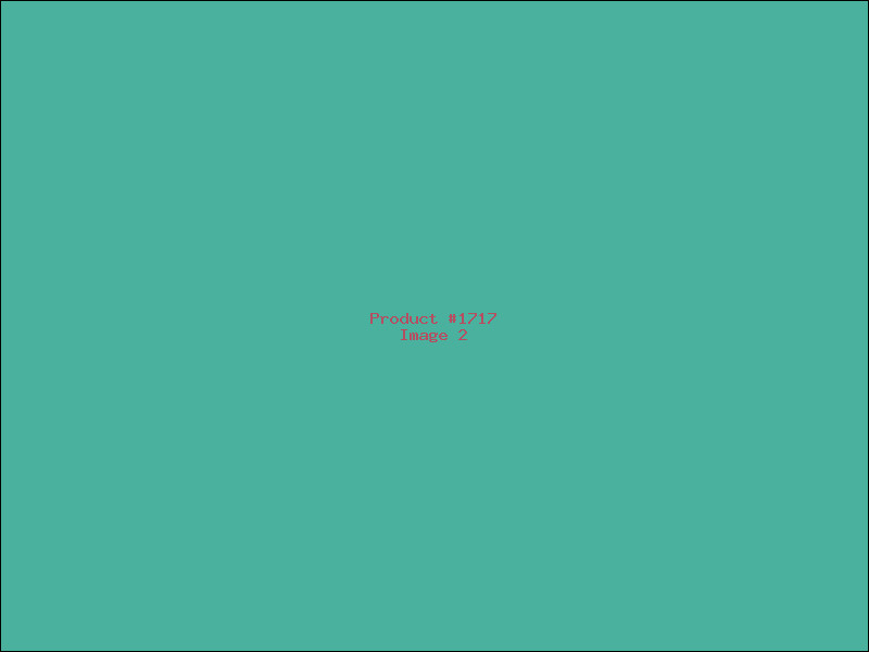 Example Product 1717 - Image 2